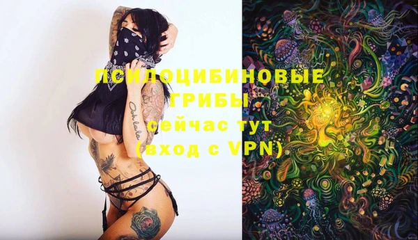 дживик Заволжье