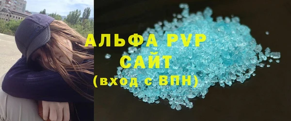 гидра Яровое