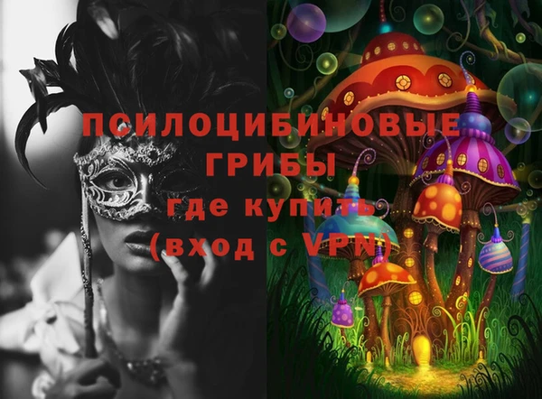 apvp Заволжск