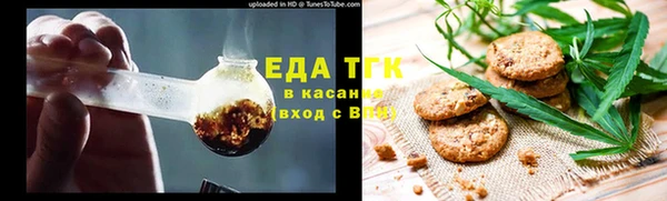 индика Елизово