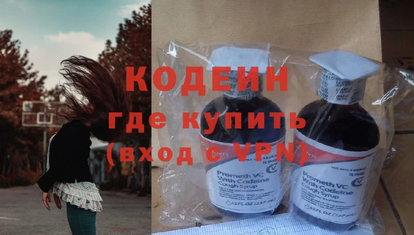 твердый Ельня