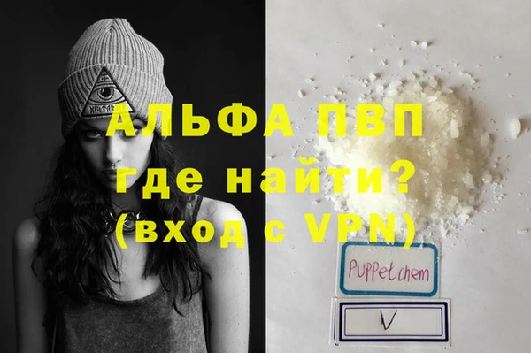 гидра Яровое