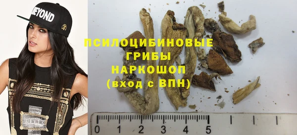 гидра Яровое