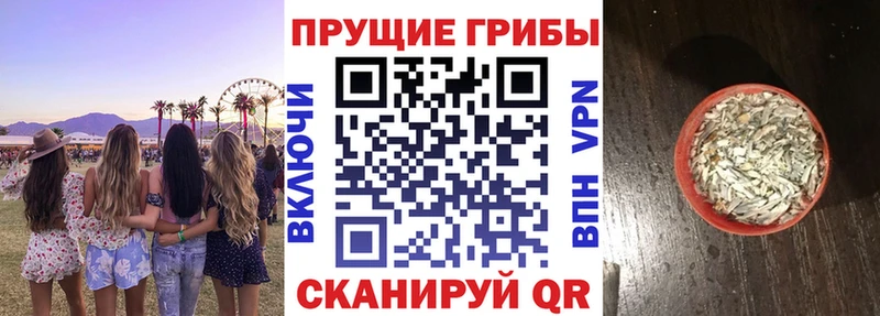 Галлюциногенные грибы Cubensis  Купить  Оха 